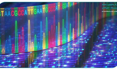 توالی‌یابی نسل بعدی (NGS)